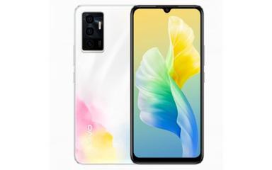 Vivo S10